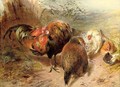 Chickens - William Huggins