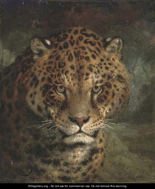 A jaguar - William Huggins