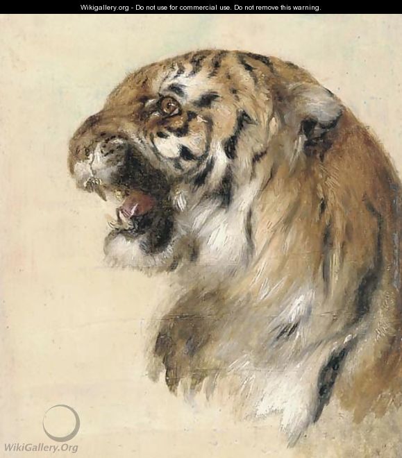 A Bengal tiger 2 - William Huggins