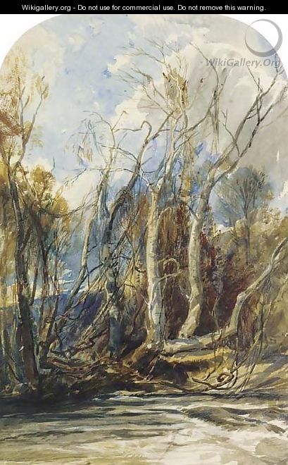 Vines on the bank of a river near Masry, Asia Minor - William James Muller