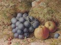 Still life of grapes and an apple on a mossy bank - William Hughes