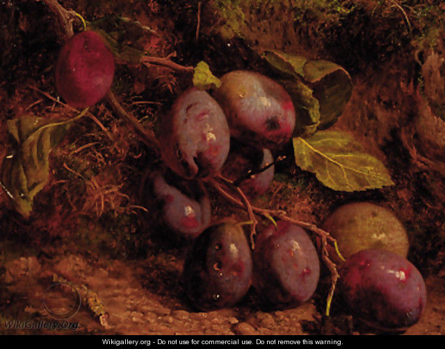 Plums on a mossy bank - William Hughes