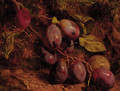 Plums on a mossy bank - William Hughes