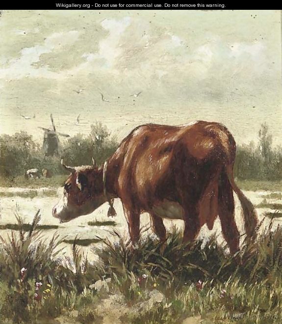 A cow by the water