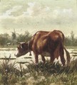 A cow by the water