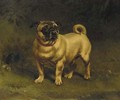 The Artist's Pug with Ball - William H. Hopkins