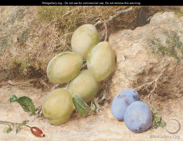 Magnum bonum and orleans plums - William Henry Hunt