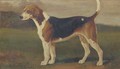 Banish a hound - William Henry Hamilton Trood
