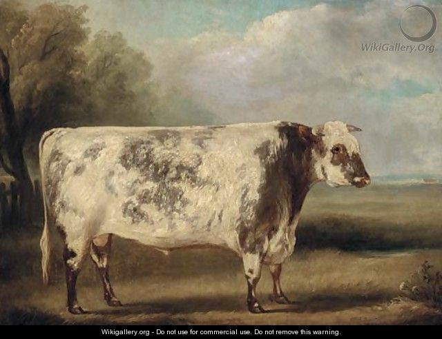 A prize bull in a field - William Henry Davis