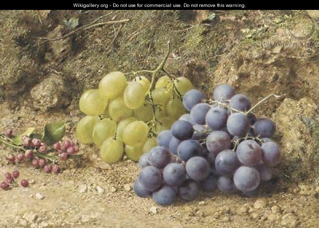 Still-life with white and black grapes and redcurrents - William Henry Hunt