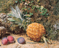 Still life with a pineapple and three plums - William Henry Hunt
