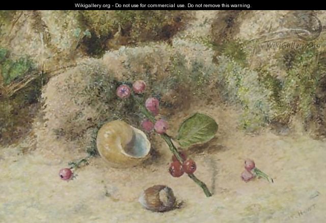 Still life of a shell and berries on a mossy bank - William Henry Hunt