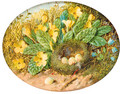 Primroses, hairbells and a bird's nest on a mossy bank - William Cruickshank