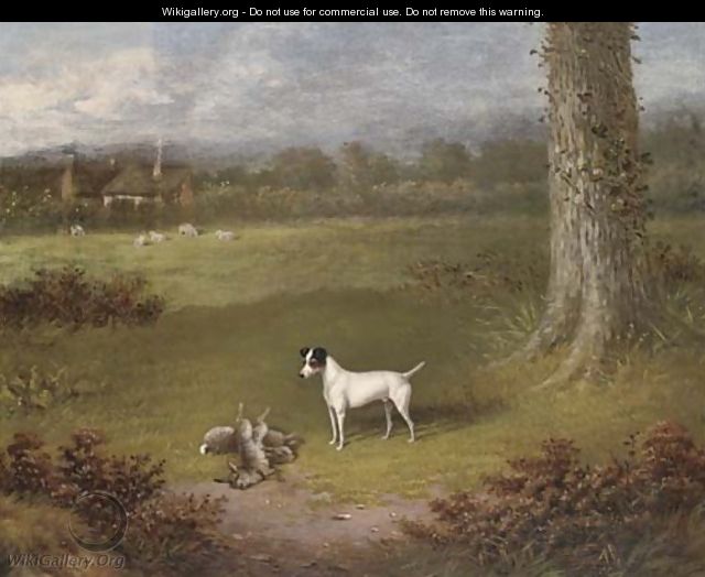 Venture, a prize fox terrier - William Eddowes Turner
