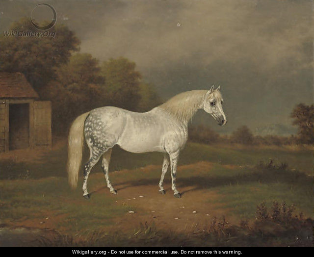 Skewbald horse - William Eddowes Turner