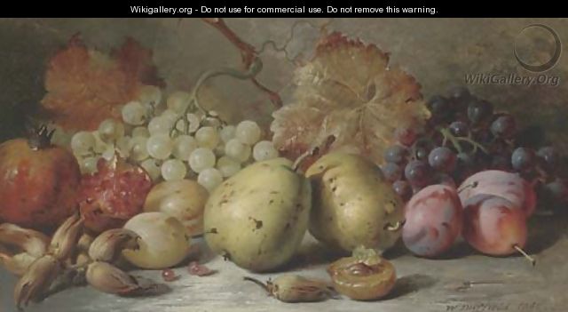 Pears, plums, grapes, pomergranites and hazelnuts - William Duffield