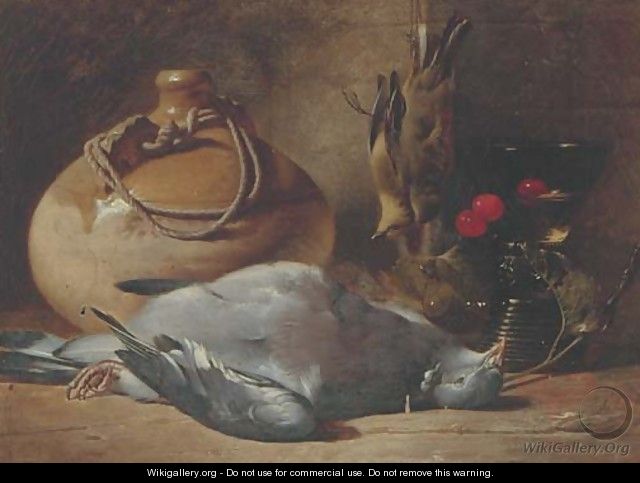 A pigeon - William Duffield