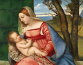 Madonna and Child ca 1510 - Tiziano Vecellio (Titian)