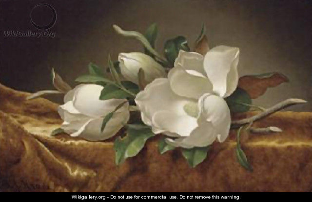 Magnolias on Gold Velvet Cloth 1888 - Martin Johnson Heade