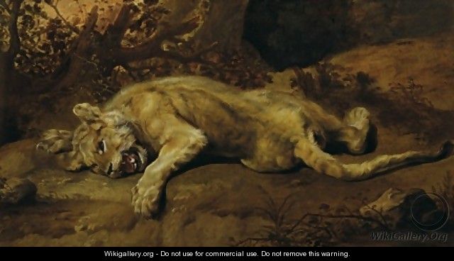 The Lioness - Frans Snyders