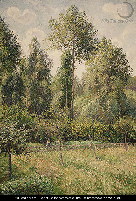 Poplars Eragny 1895 - Camille Pissarro
