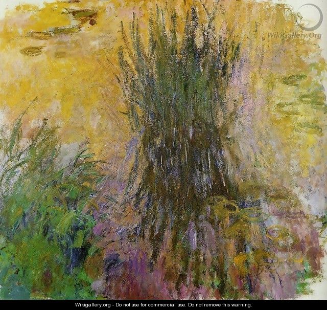 Water-Lilies9 1914-1917 - Claude Oscar Monet