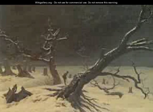 Nature 1897 2 - Caspar David Friedrich