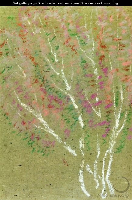 Birch Trees - Margit Anna