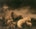 Sheeps - Bela Pallik