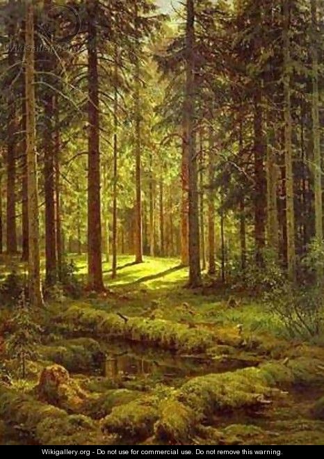 Coniferous Forest Sunny Day 1895 - Ivan Shishkin