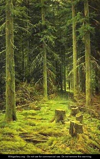 Coniferous Forest 1873 - Ivan Shishkin