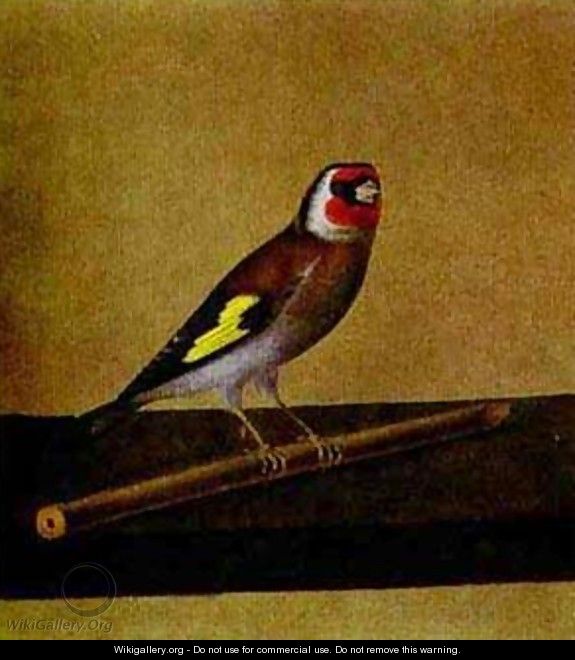 A Bird 1810s - Fedor Petrovich Tolstoy