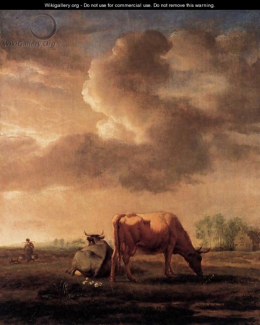 Cows on a Meadow - Adriaen Van De Velde