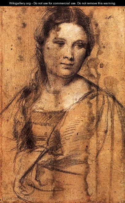 Portrait of a Young Woman - Tiziano Vecellio (Titian)