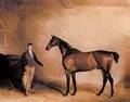 Mr C N Hoggs Claxton And A Groom In A Stable - John Faulkner