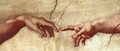 Creation of Adam Hands only - Michelangelo Buonarroti