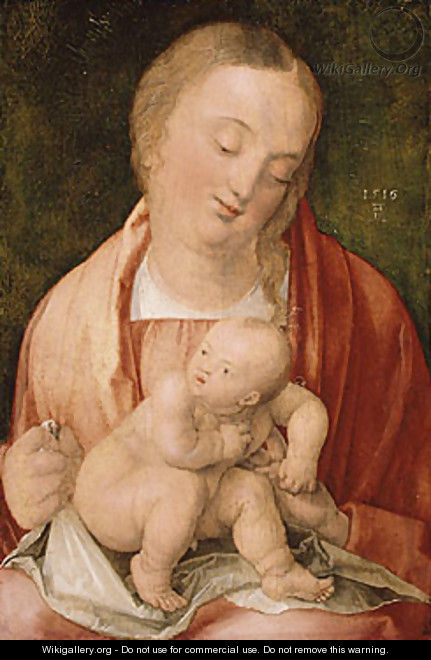 Virgin and Child 1516 - Albrecht Durer