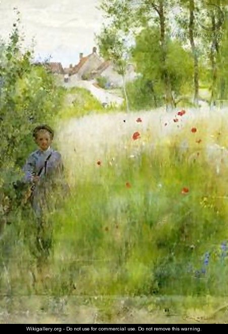 Boy in Meadow - Carl Larsson