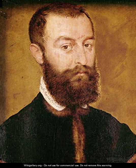 Portrait of a Man with a Beard or Portrait of a Man with Brown Hair - Corneille De Lyon