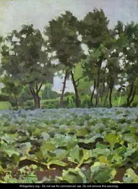 Cabbage Field With Willows 1893-94 - Viktor Elpidiforovich Borisov-Musatov