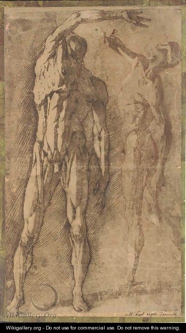 Two studies of an ecorche figure, after Francavilla - Andrea Boscoli