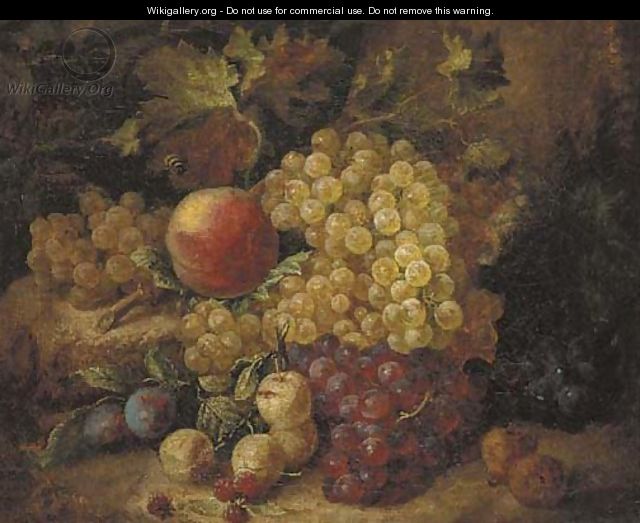Grapes - Andreas Lach