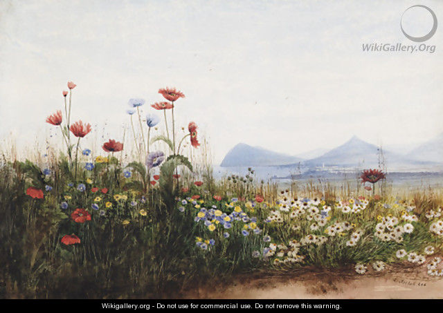 Poppies, cornflowers and daisies on Killiney Hill - Andrew Nicholl