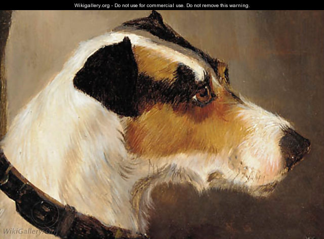 The head of a terrier - Alfred Wheeler