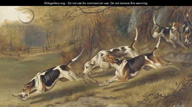 Hounds at full cry - Alfred Wheeler