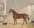 A chestnut hunter in a stable - Alfred Wheeler