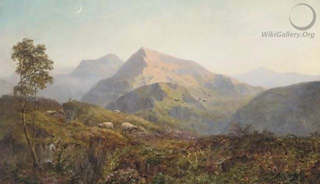 Sheep in a Highland landscape, evening - Alfred de Breanski