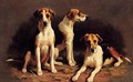 Three Foxhounds - Alfred Duke