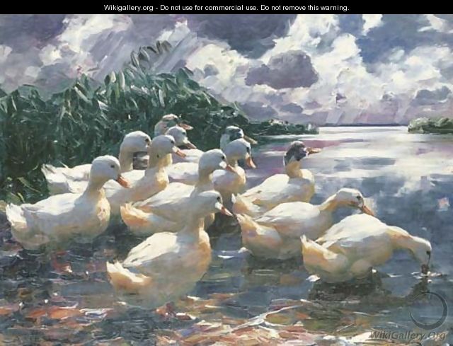 Ducks on a Pond 2 - Alexander Max Koester
