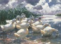 Ducks on a Pond 2 - Alexander Max Koester